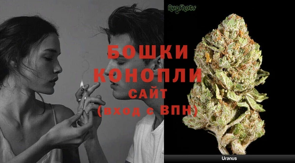 соль ск Лиски