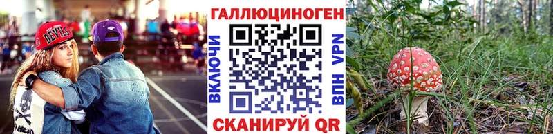 Купить где  Кадников  Галлюциногенные грибы Magic Shrooms 