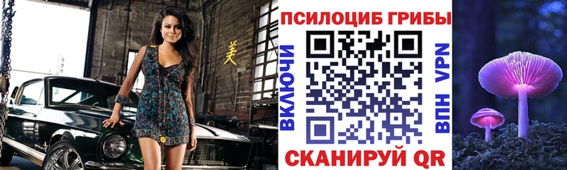 Галлюциногенные грибы MAGIC MUSHROOMS Кадников