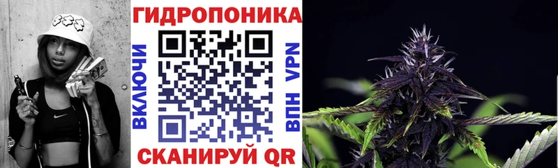 Конопля LSD WEED  Купить закладки  Кадников 